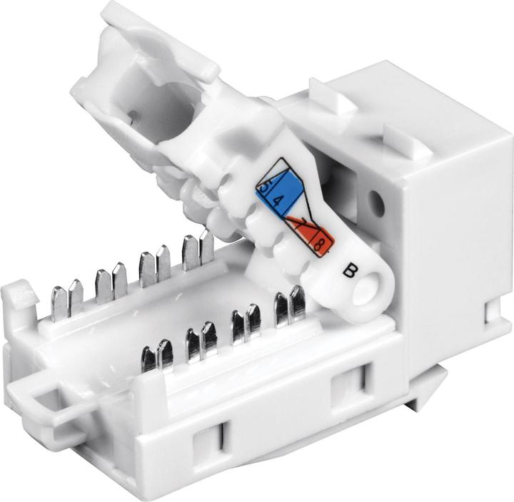 Immagine prodotto Trendnet TC-K25C6 Ingresso modulare (confezione da 25) (Pannello patch)