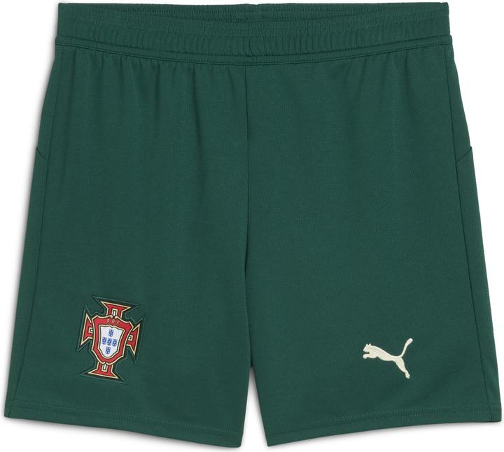Puma FPF Shorts Replica Jr (176)