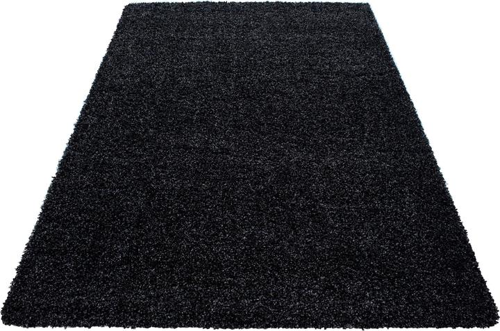 Image du produit Ayyildiz Hali LIFE Tapis à poils longs (60 x 110 cm)