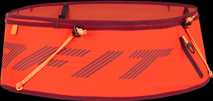 Image du produit Dynafit Running Belt