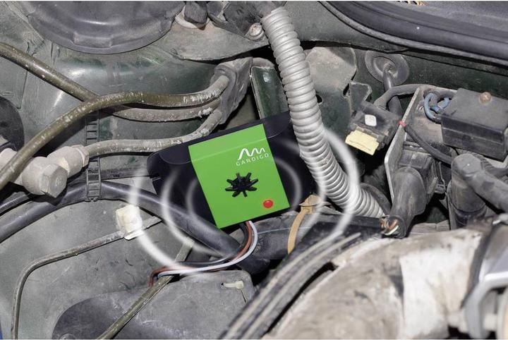 Image du produit Gardigo Défense contre les martres Marder Frei Auto Ultra