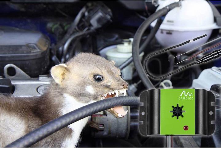 Image du produit Gardigo Défense contre les martres Marder Frei Auto Ultra