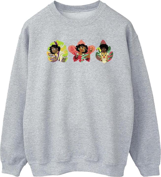 Produktbild Disney Encanto Family Line Sweatshirt (M)
