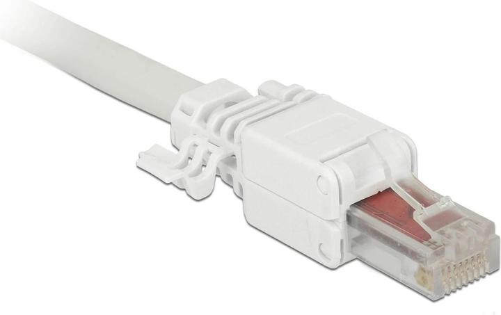 Actual product image Delock Network cable (Network cable plug)