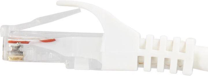 Actual product image equip Network cable (U/UTP, CAT6a, 0.50 m)