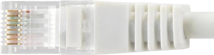Actual product image equip Network cable (U/UTP, CAT6a, 0.50 m)