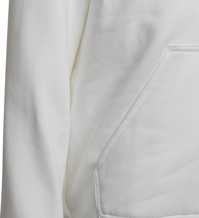 Actual product image adidas Entrada 22 hoodie kids (152)