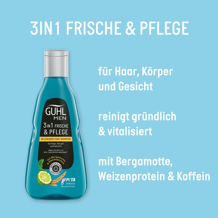 Actual product image Guhl Men 3in1 Shampoo Freshness & Care (250 ml, Liquid shampoo)