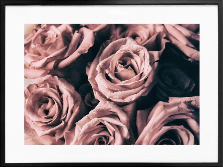 Immagine prodotto Trenddeko Rose rosa in stile vintage (30 x 24 cm)