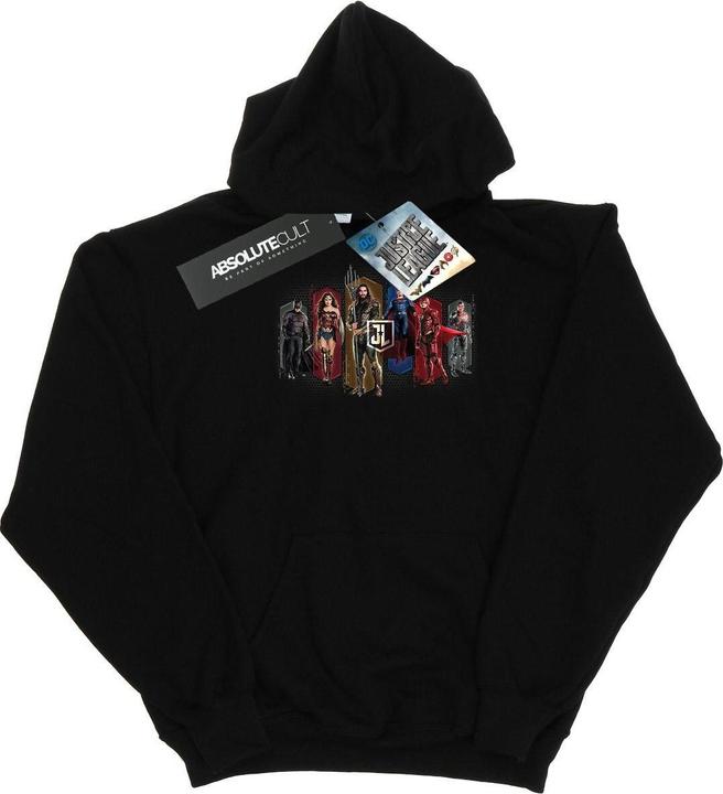 Actual product image Mens Justice League Movie Team Hexagons Hoodie (M)