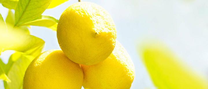 Produktbild Weleda Citrus (Körpercreme, 200 ml)