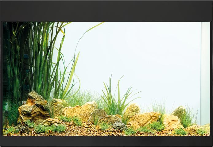 Image du produit Oase Aquarium StyleLine 175, 160 l, noir (160 l)