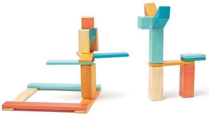 Produktbild Tegu Magnetic Wooden Blocks