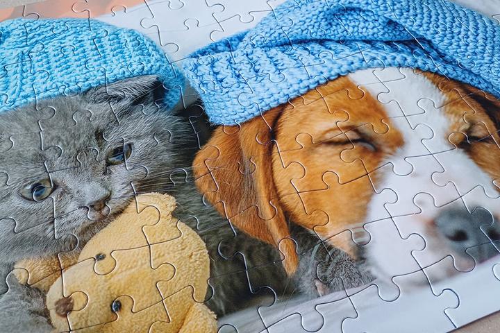 Produktbild Selecta Spielzeug Puzzle Süsses Kätzchen und schläfriger Hund, 100 Teile. (100 Teile)