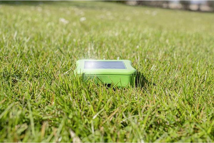 Immagine prodotto Gardigo Vole Repellent r Vole Ant Repellent