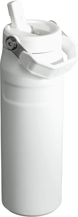 Immagine prodotto Stanley 1913 Bottiglia IceFlow con cannuccia (0.70 l)