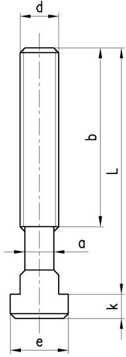 Actual product image Amf T-bolts DIN 787 14 M 12 x 100 mm (1 Screws per piece)