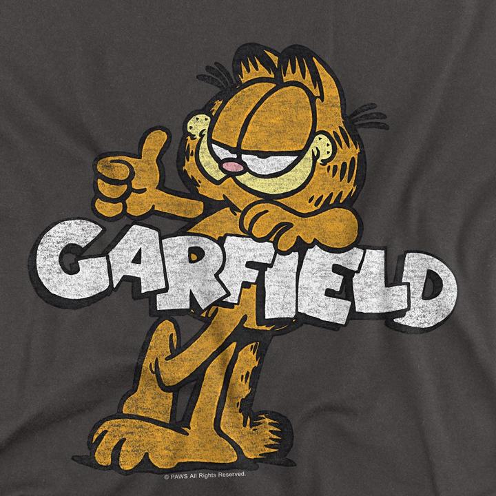 Actual product image Garfield Unisex Adult Garf Retro T-Shirt (XL)