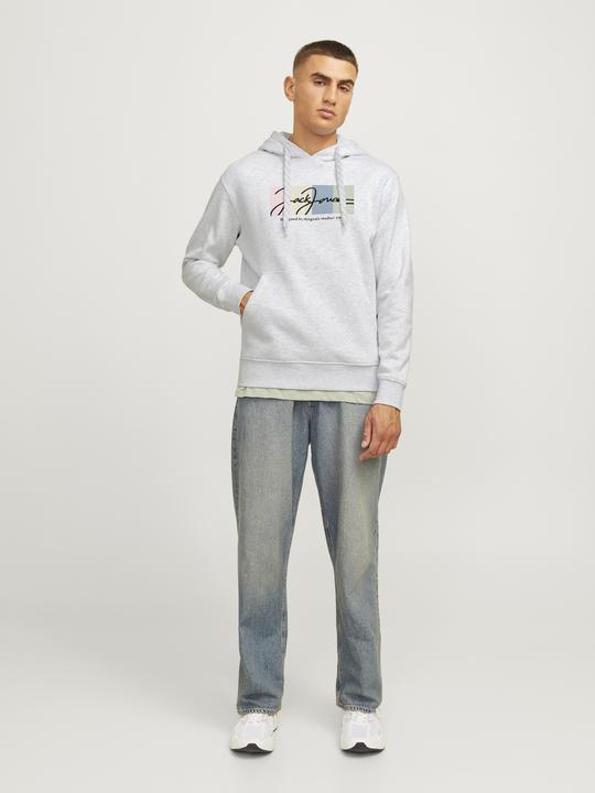 Immagine prodotto Jack & Jones Jorportland Block Sweat Hood Ln (M)