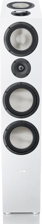 Canton GLE 90 AR (1 pcs., 210 W)