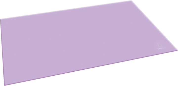 Exacompta Desk pad (585 x 385 mm)