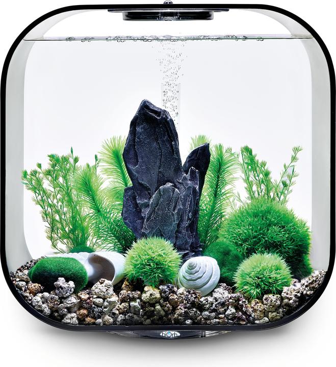 Immagine prodotto Oase Set di decorazioni per l'acquario biOrb 30 (Decorazione, altre voci)