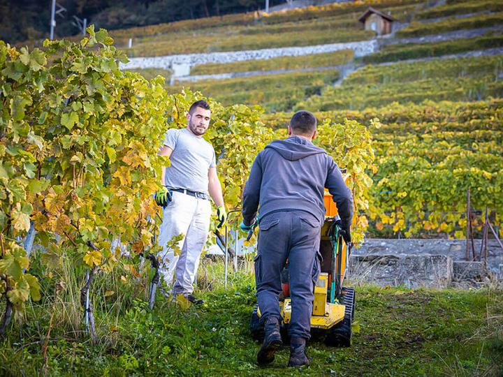 Image du produit Smartbox Dégustation de vins et visite de la cave à Lavaux (2 pers.)