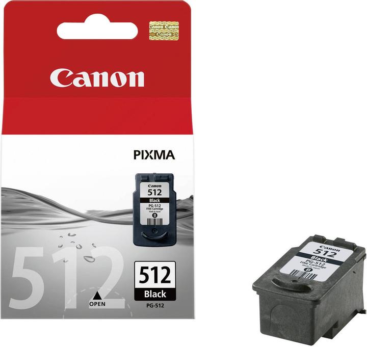Actual product image Canon Pg-512 (FC)