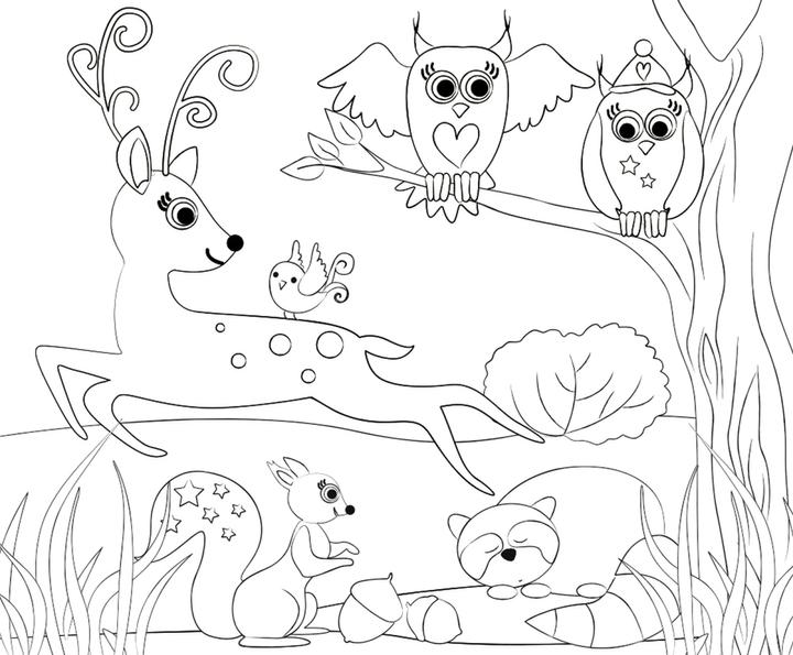 Image du produit Ursus Set de coloriage Animaux de la forêt