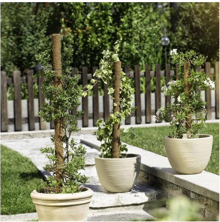 Image du produit Windhager Bâton de plante noix de coco (110 cm, 4.50 cm)