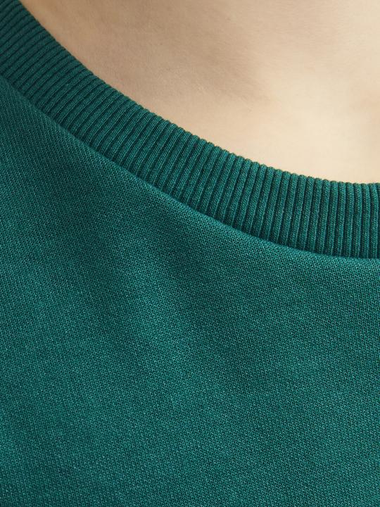 Image du produit Jack & Jones Imprimé Sweatshirt à col rond Pour les garçons Sweatshirt à col rond (176)