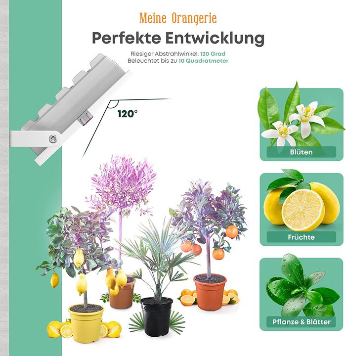 Produktbild Meine Orangerie LED Pflanzenlampe (LED, 230 V)