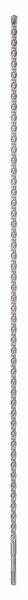 Actual product image Bosch Professional Zubehör Carbide hammer drill 12 mm (12 mm)