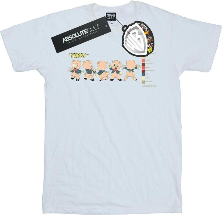 Produktbild Looney Tunes Porky Pig Colour Code TShirt (XL)