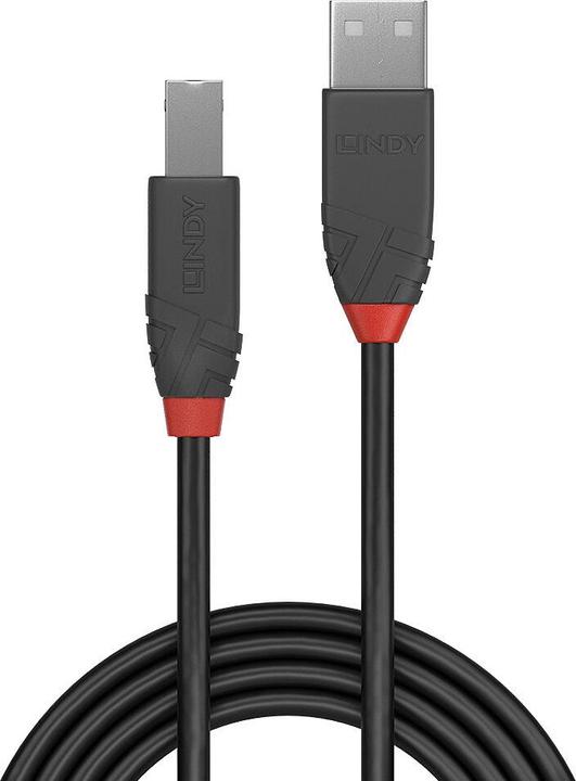 Actual product image Lindy Anthra Line (0.20 m, USB 2.0)