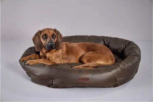 Produktbild Wolters Vintage (Hund)
