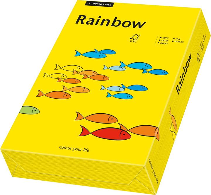 Image du produit Rainbow Papier à copier de couleur A4 (160 g/m², 250 x, A4)