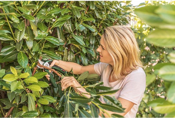 Produktbild Bosch Home & Garden EasyPrune