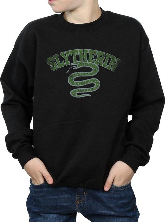 Actual product image Boys Slytherin Sport Emblem Sweatshirt (140, 146)