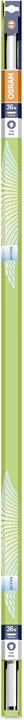 Produktbild Osram Röhre (G13, 36 W, 3350 lm, 1 x, G)
