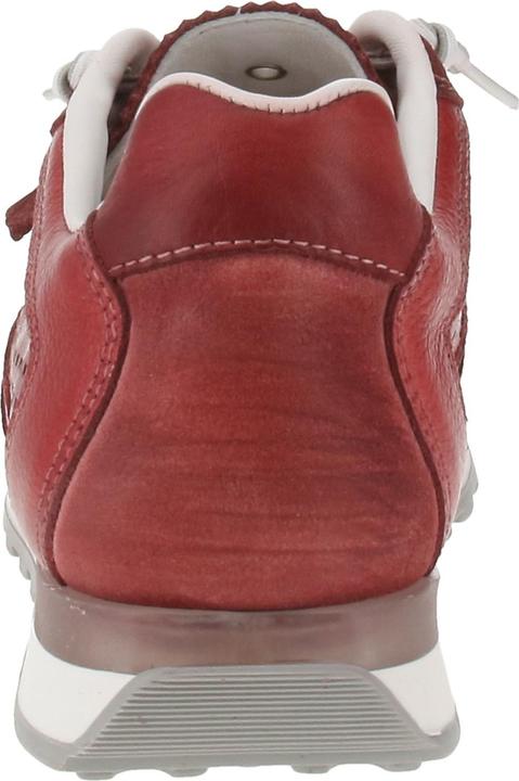 Produktbild Cetti C-848 EXP V25 (43)