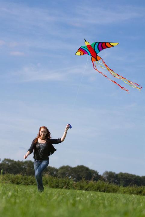 Produktbild Invento Drachen Tropical Bird