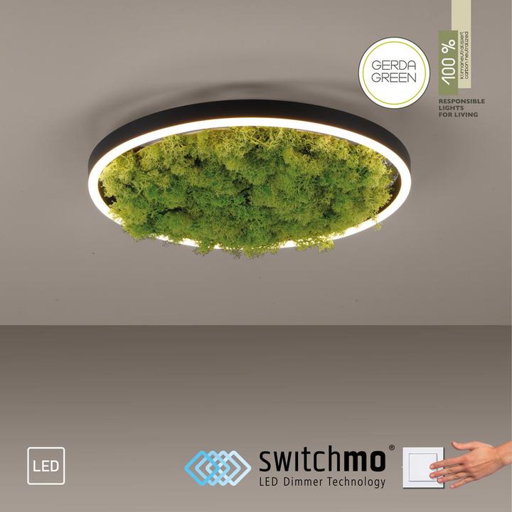 Produktbild Leuchten Direkt Green Ritus (2650 lm)