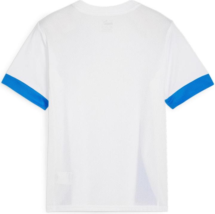 Actual product image Puma teamGOAL Matchday Jersey jr (164)