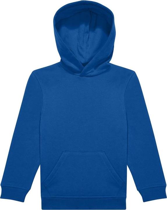 Bleu roi