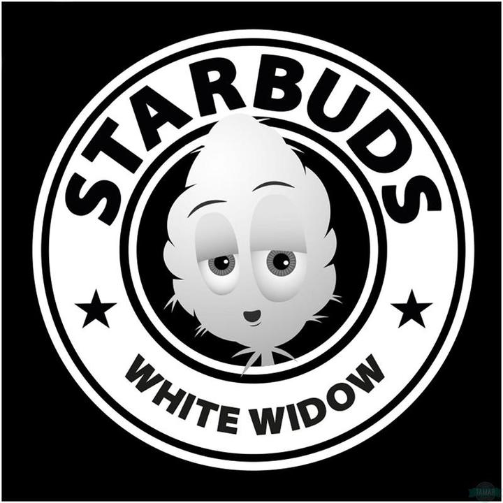 Image du produit Starbuds Veuve blanche (15 g, Intérieur)