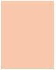 Produktbild Wet n Wild Bare Focus TIntense Skin Perfector 1114062E (Light)