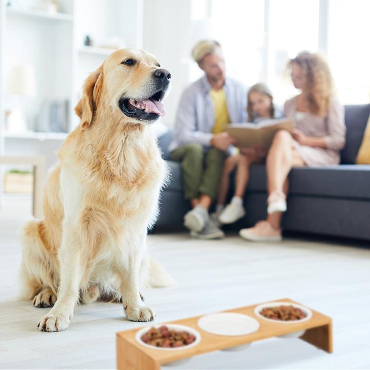 Immagine prodotto Relaxdays Stazione di cibo per cani (0.40 l)