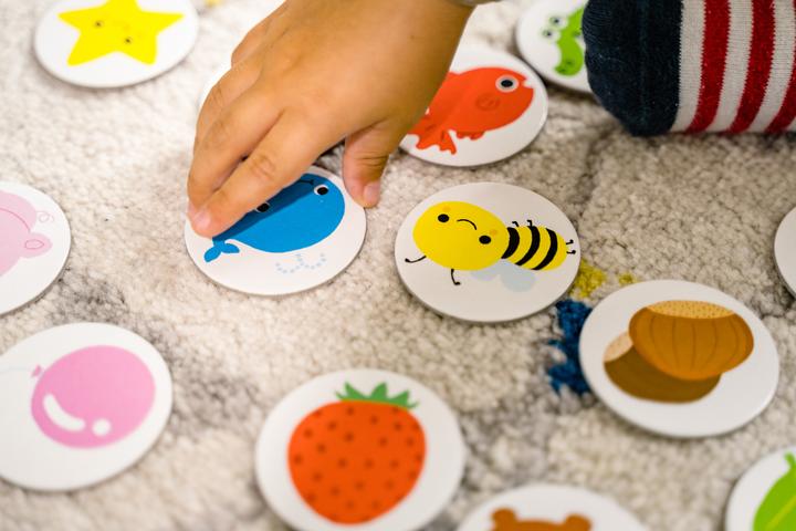Actual product image Dujardin Small School Colours Shapes