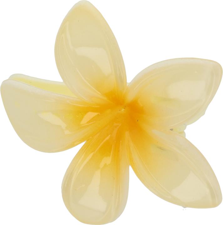 Immagine prodotto Trisa Fashion Frangipani Set Haarklammern & Clip Gelb 5 Stk. (5 pz.)